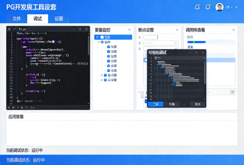 PG开发者工具套件界面，包含命令行与可视化调试面板